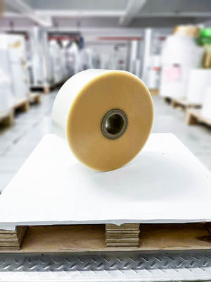 Прозрачные клеящие марки BOPP Jumbo Roll Labels длина 1000 м матовое серебряное PET