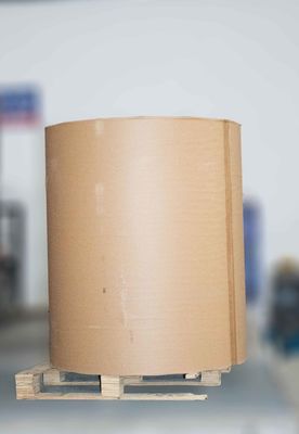 Удаляемый клей термальный Jumbo Roll, выпуск линейки бумажной рулон длиной 1000 м