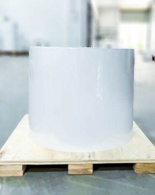 Хорошая цена Обычная клеящаяся прозрачная этикетка BOPP, клей для масла, клей, крафтная бумага онлайн