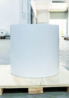 Хорошая цена Масляный клей Тип Синтетическая этикетка Материал Прозрачная рулонная этикетка Обычная липкая онлайн