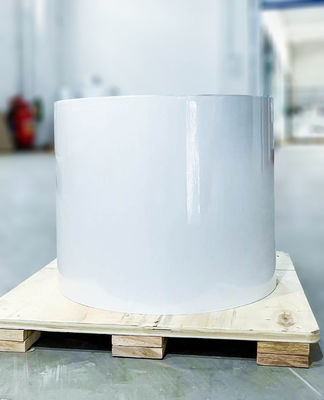 Хорошая цена Тип клея для шин Клейная PE-этикетка Материал рулоны 80у Толщина поверхности онлайн