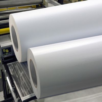 Хорошая цена 80 г. Покрытая бумажная этикетка с вискозным постоянным акриловым клеем и белой стеклянной бумагой онлайн